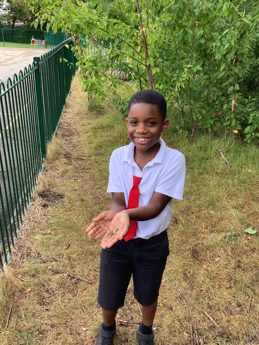 ChadPrimary's tweet image. Year 2 started off outdoor learning week with a visit to the forest school. We pretended we were the children in the story of the Selfish Giant and thought of nouns and adjectives about the garden. #outdoorlearning