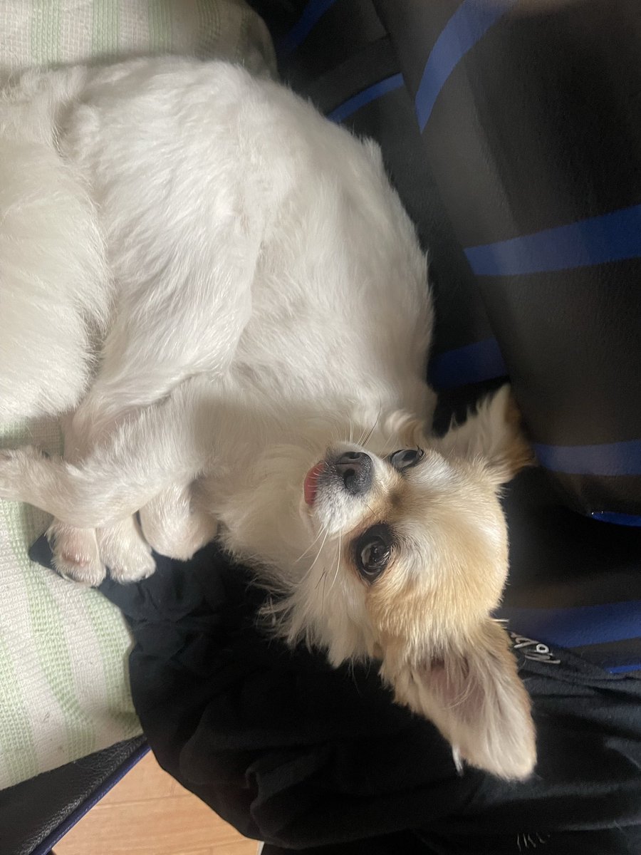 涼葉と夏の日常 tweet media