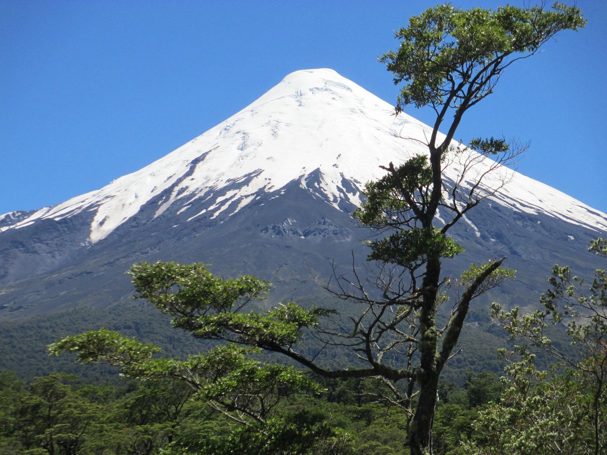 conaf_loslagos's tweet image. Mediante resolución la Dirección regional de Conaf Los Lagos dio a conocer la Apertura de la Cumbre del Volcán Osorno para deporte de alta montaña.El macizo tenia su cumbre cerrada desde el 27 de febrero 2025 @conaf_minagri @muniptovaras @Sernatur