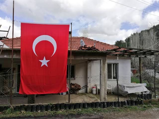 Ölen askerlerin evlerine bakın,  bir de bu vatan, bayrak, bas bas bağıranların, ölürüz, öldürürüz diye birbiriyle yarışanların evlerine bakın, bu ülkeyi kim ayakta tutuyor anlarsınız.