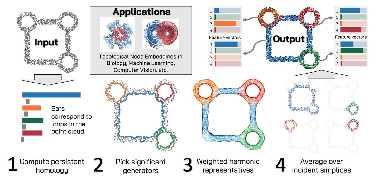 Our paper “Point-Level Representation Learning on Point Clouds” with Michael Schaub has been accepted at ICML 2025! 🎉
We link global topological descriptors back to individual points — connecting TDA &amp; local geometry.

arxiv.org/abs/2406.02300

See you in Vancouver next week!🇨🇦