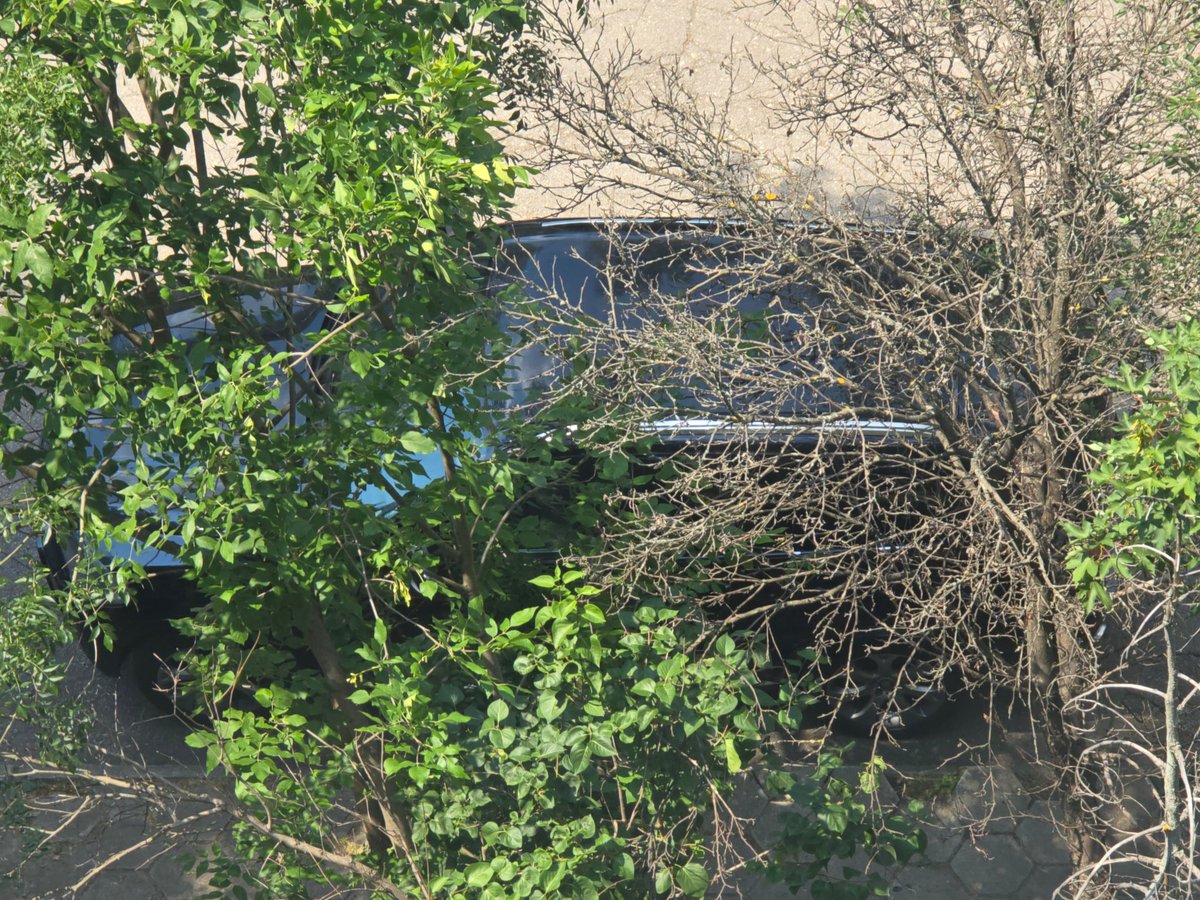 __usercall's tweet image. his &amp;amp; hers