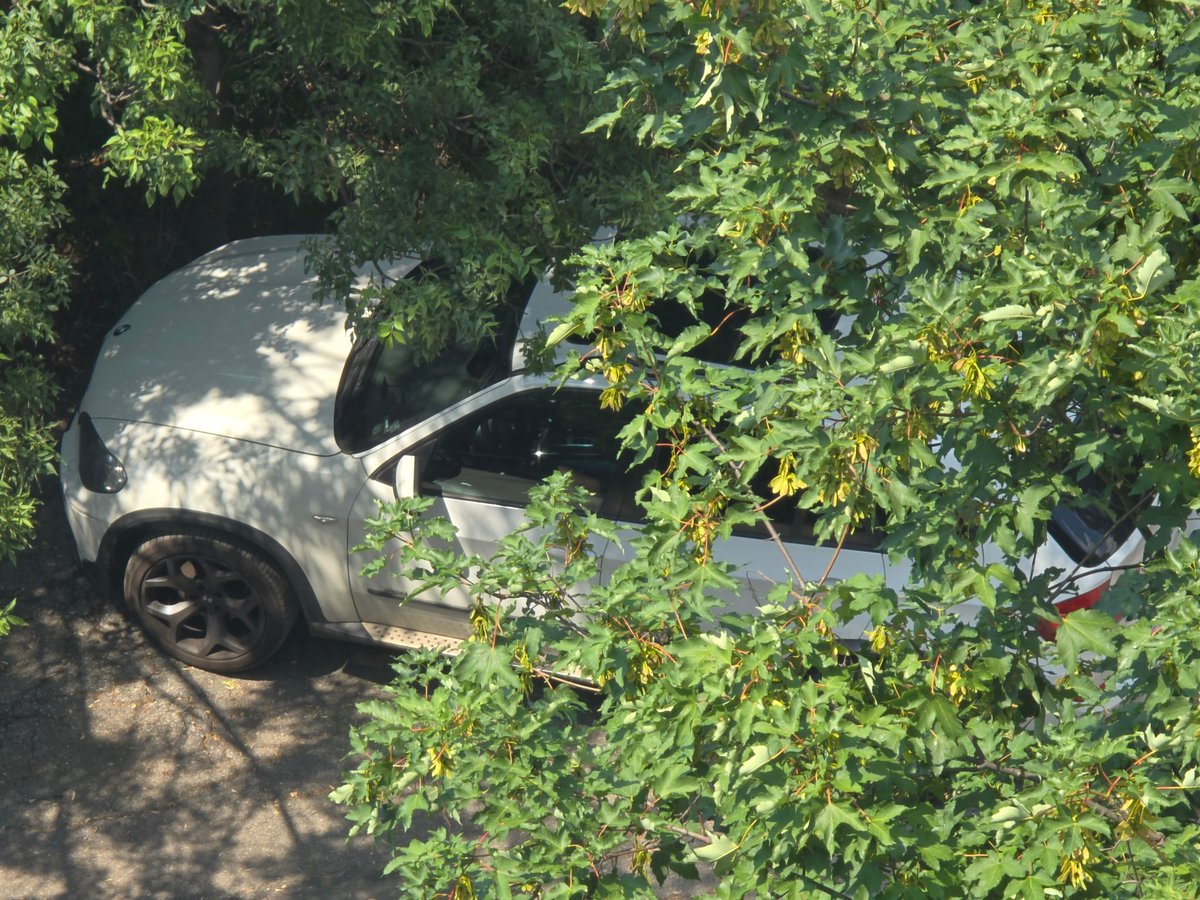 __usercall's tweet image. his &amp;amp; hers