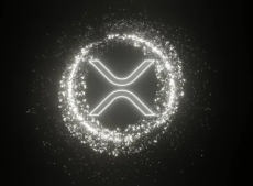 Angela_yyyyyy's tweet photo. 🚨🚨#Pippen released a watch list of ##c##rypto assets that he believes have great potential in the market. These include Ripple's associated currency #XRP, as well as popular meme cryptocurrencies #Dogecoin and #Shiba #Inu. However, Bitcoin remains his preferred #crypto https://t.co/GxKu1S1FD8