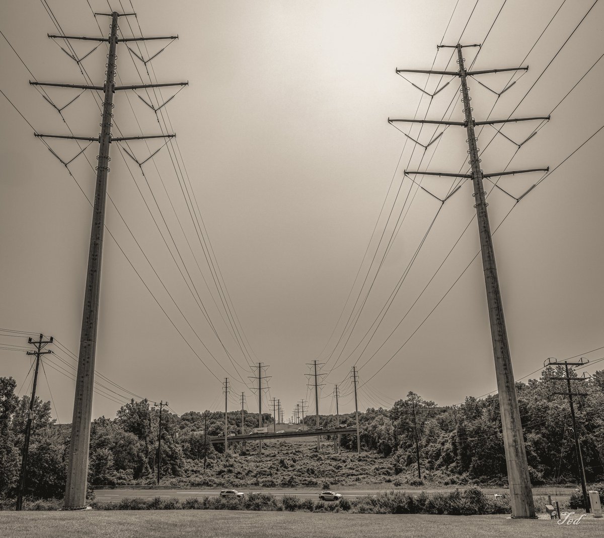 Monochrome Monday. Wishing y'all a productive day.