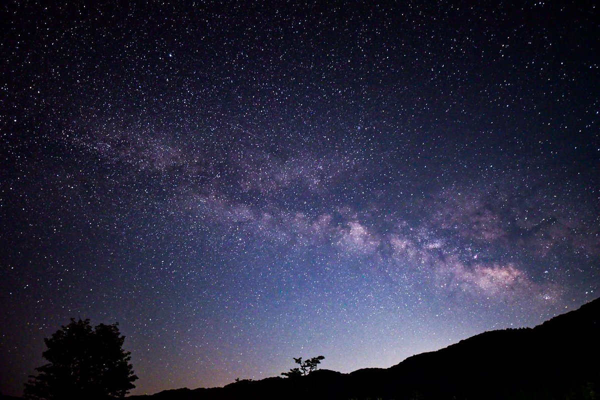 doraemonster9's tweet photo. 七夕🎋🌌 https://t.co/fUehRNA5nW