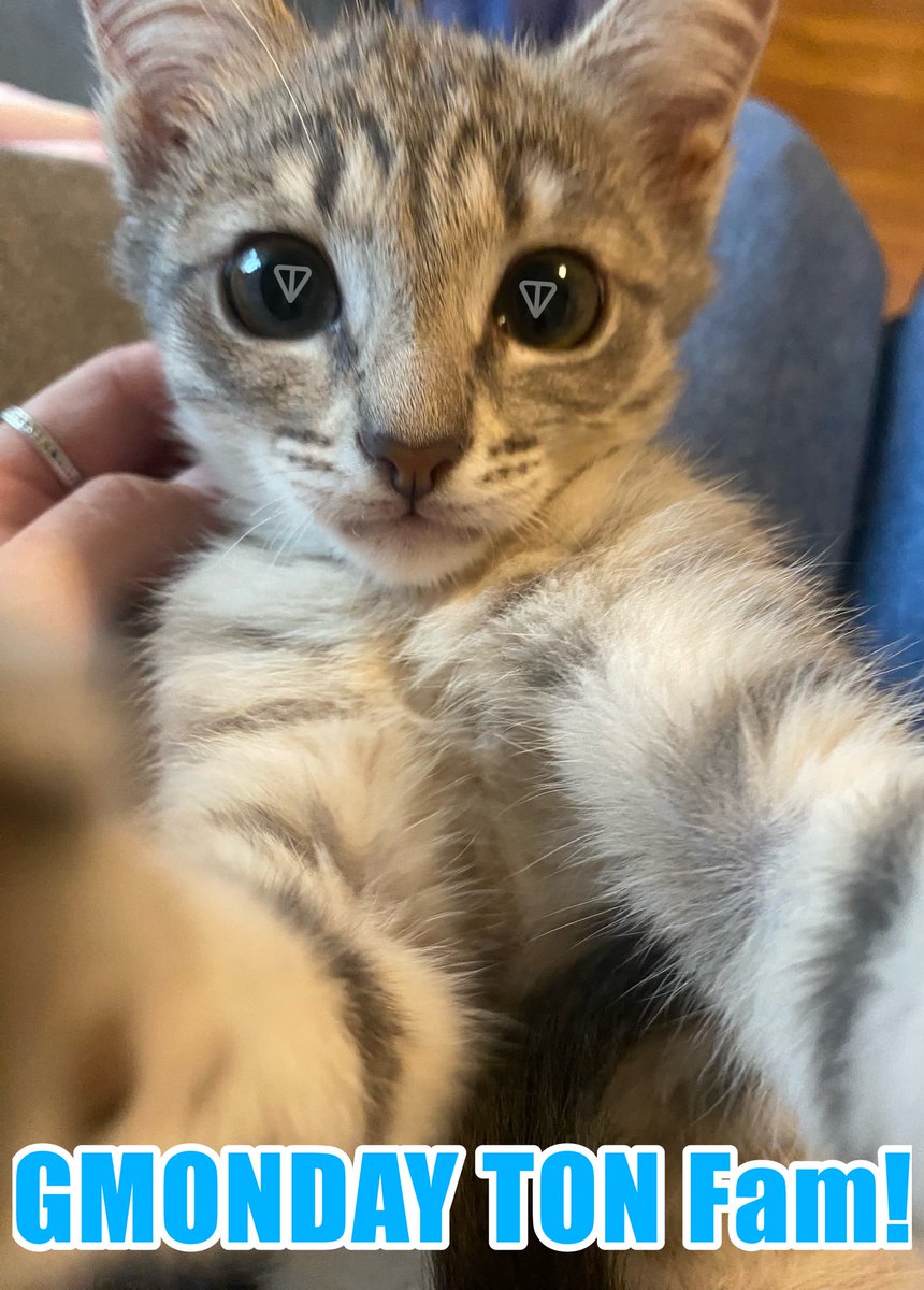 Tonya wishes the TON Community a GMONDAY!☀️✨
Have a wonderful start to the week, guys!💫

P.S. I'm in the village now, so I spend a little less time online, digital detox😌