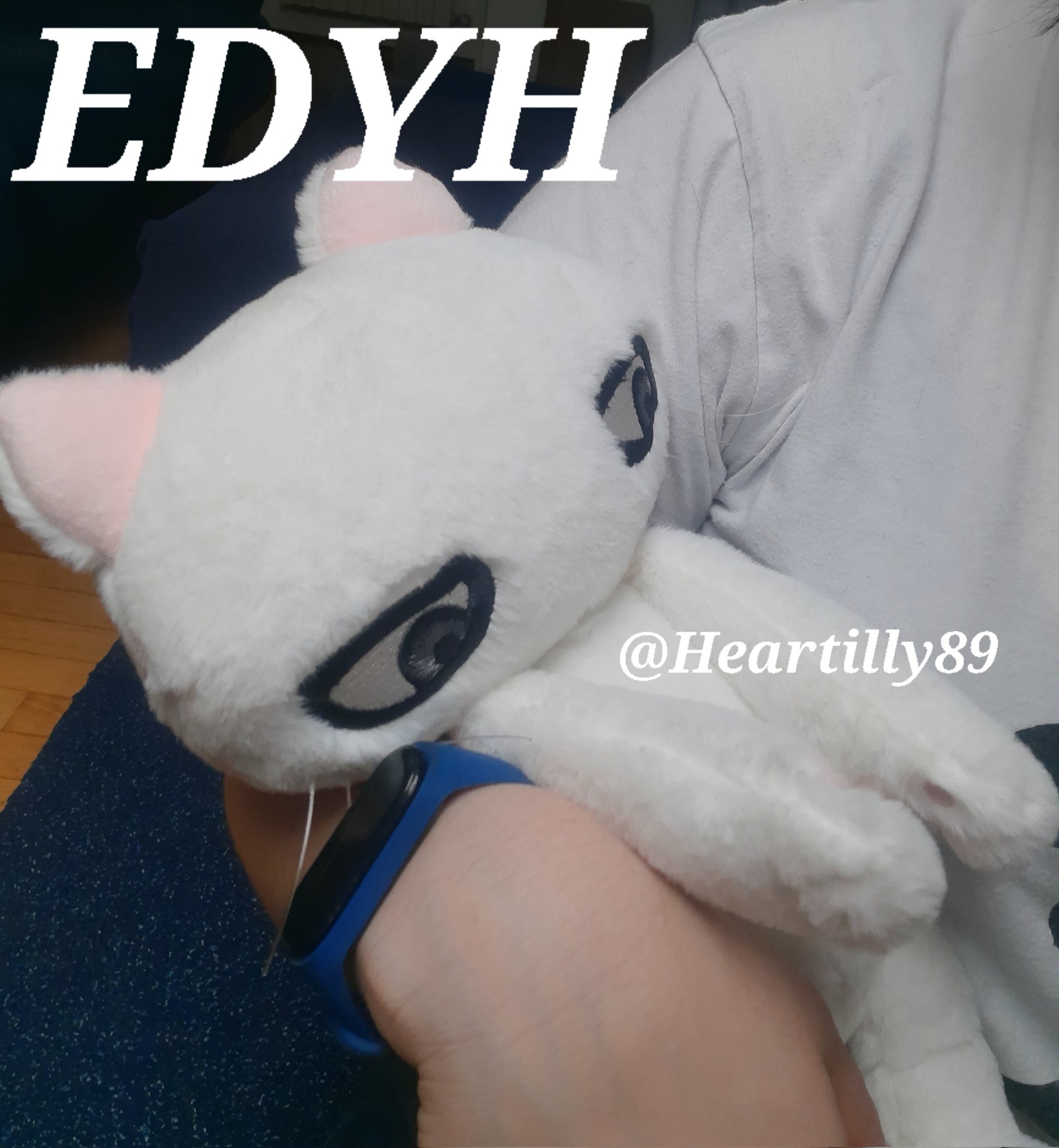 edyhぬいぐるみ - Search / X