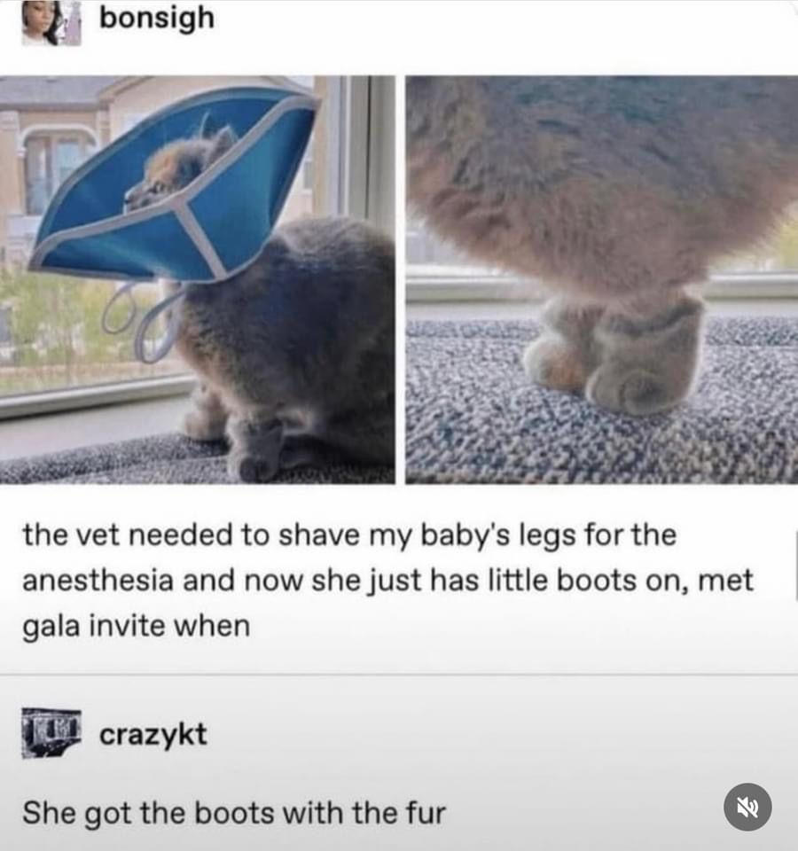 Satan (@s8n) on Twitter photo 