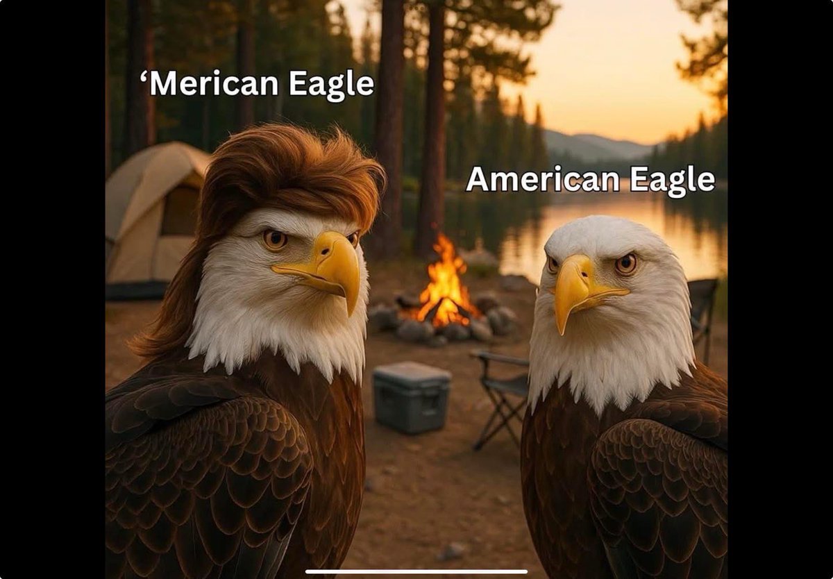 NEW WEEK NEW BEGINNING!!🇺🇸