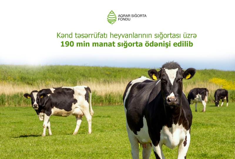 Kənd təsərrüfatı heyvanlarının sığortası üzrə 190 min manat sığorta ödənişi edilib
DAHA ƏTRAFLI: agro.gov.az/az/news/0707251
