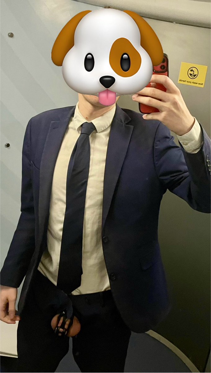 Zeus 🐶 ⚡️ tweet media