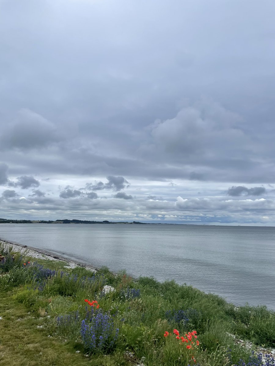 Att pissa till denna utsikten är som balsam för själen.