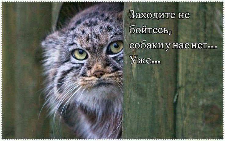 Пьяный Твиттер (@drunktwi) on Twitter photo 