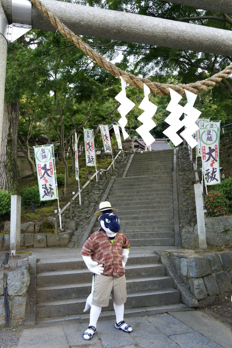 🦈⛩️

📸<a href="/T_Nanafuse/">七伏@フレア</a> 
#ケモノをみて今週もがんばりマンデー
#こいと写真館