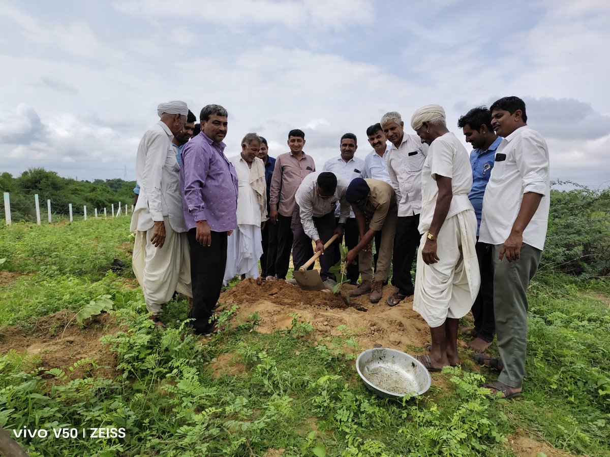 rohitkumarmali's tweet image. આજ રોજ વન વિભાગ ના સહયોગ થી વડીયા ગ્રામ પંચાયત માં સાથે મળીને વૃક્ષારોપણ કરવામાં આવ્યું 🌴
🌲આવો સૌ સાથે મળી ગામ ને હરિયાળું બનાવીએ 🌳
