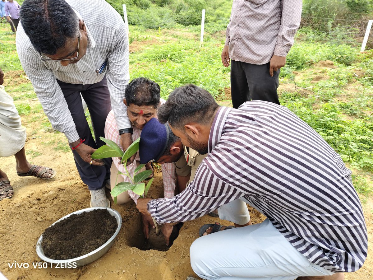 rohitkumarmali's tweet image. આજ રોજ વન વિભાગ ના સહયોગ થી વડીયા ગ્રામ પંચાયત માં સાથે મળીને વૃક્ષારોપણ કરવામાં આવ્યું 🌴
🌲આવો સૌ સાથે મળી ગામ ને હરિયાળું બનાવીએ 🌳
