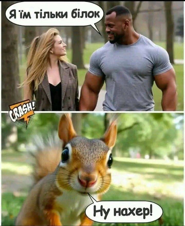 Роман 🔱🇺🇦 tweet media