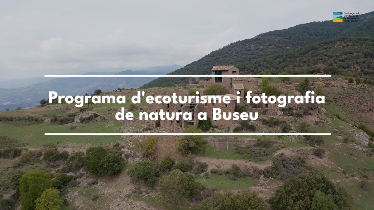 PauCostaF's tweet photo. 💡 Seguim compartint idees per aconseguir paisatges més resilients amb #WildPrePyrenees!

En aquest vídeo descobrim com l’ #ecoturisme pot ser una eina clau per a la conservació del territori. Un exemple inspirador és #BuseuProject 🦅: una iniciativa d’observació i fotografia de fauna salvatge al #prepirineu de #Lleida que contribueix a preservar a biodiversitat.

Podeu veure el vídeo sencer al nostre canal de #YouTube 👉 https://t.co/5xiMepxZrK

ℹ️Con subtítulos en español. English subtitles available  

📽️Agraïm la participació de Gerard i Jordi Canut de #BuseuProject