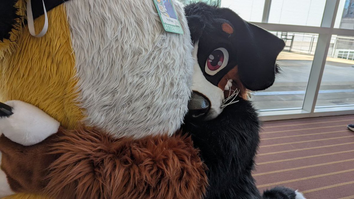 My Anthrocon experience.