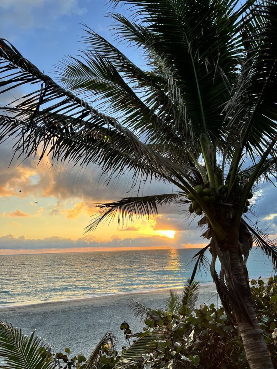 SabbyBentley's tweet image. Good morning and happy new week, friends 😊✨
Gorgeous sunrise in FL 🌅