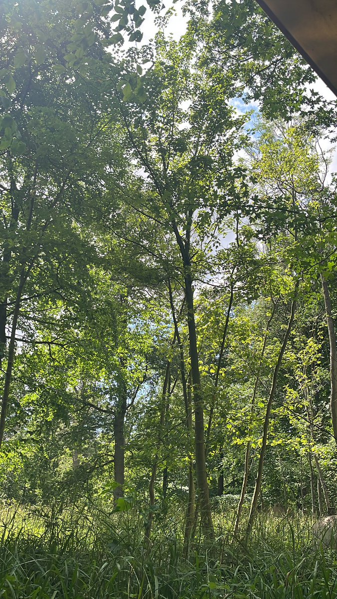 Students have eaten lunch! They are now collecting bags and getting their tents sorted!! Weather is beautiful!! ☀️