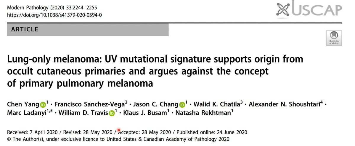 Janiranavarro's tweet image. Educational cases in thoracic pathology
-"Data provide direct evidence that nearly all cases of lung-only melanomas in our series, represent metastases of cutaneous melanoma in the setting of regressed primary tumors"
-This conclusion extends to solitary, some extremely large…