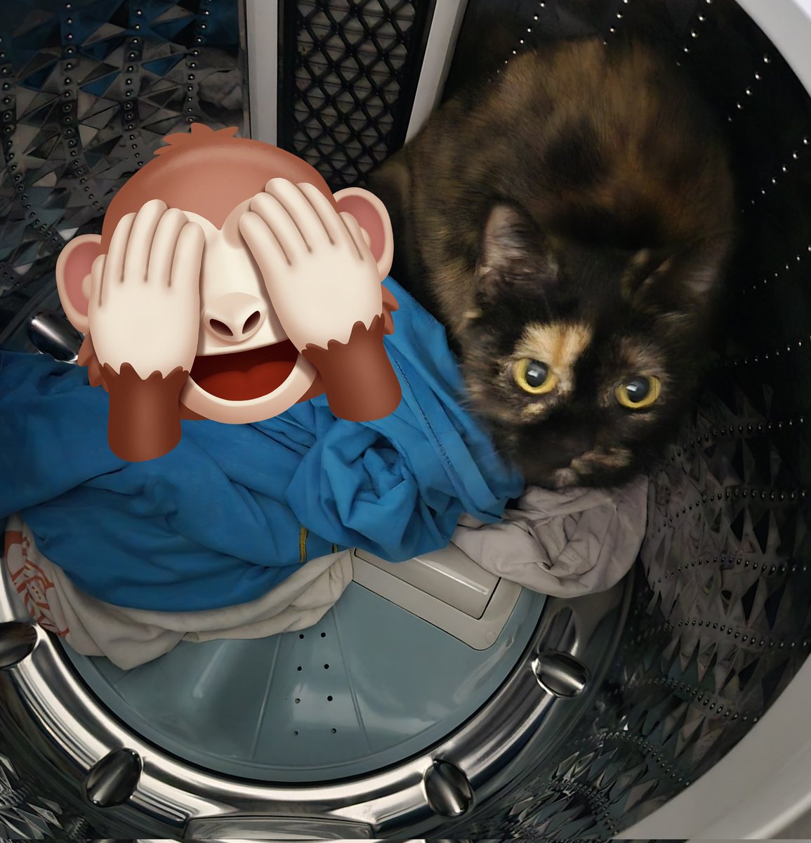 아니 ㅅㅂ 씻으려고 옷벗어서 세탁기에던졌는데 안에서 이이잉 하는소리가들려서 보니까 이거 밎힌거아냐