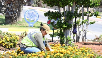 Kuşadası 7/24 Çalışıyor