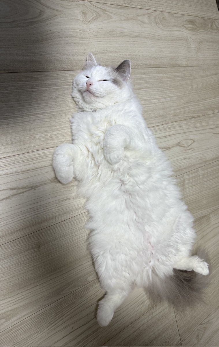 毎日暑いにゃん！！
あぁ～この場所が冷たくって気持ち良いにゃーん