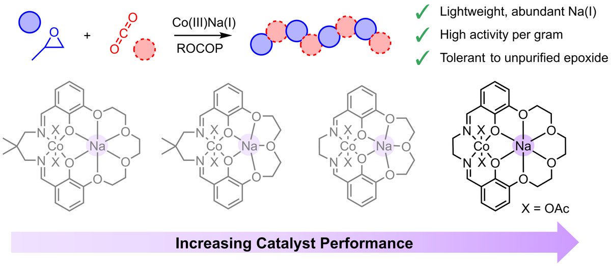Our latest work investigating the influence of ligand structure in heterodinuclear Co(III)Na(I) catalysts is out now in Macromolecules!

Thanks to all those involved in the work!

pubs.acs.org/doi/10.1021/ac…