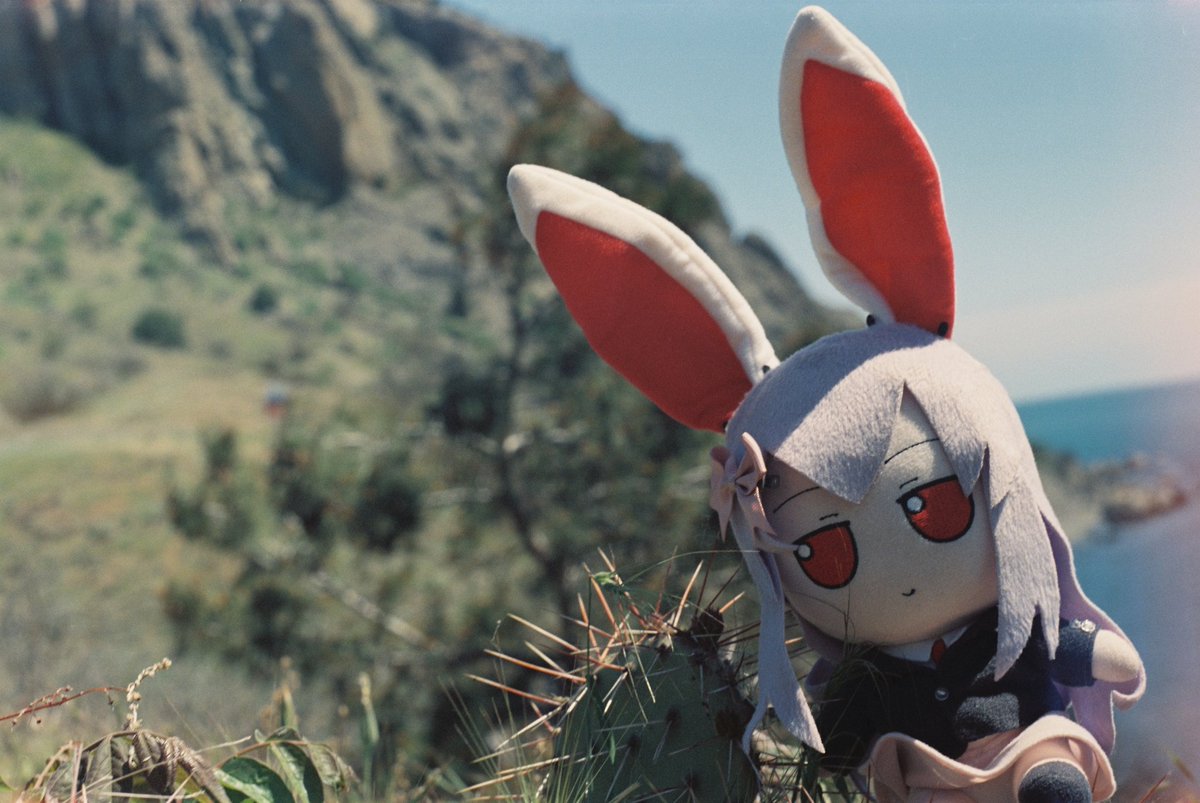 IvanFumograph tweet media