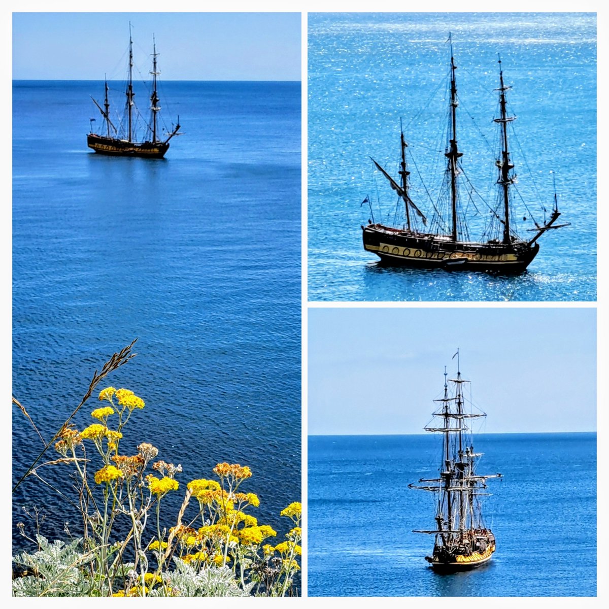 Don Sheahan (@sheahandon) on Twitter photo 7.7.2025 12:30pm
TS Shtandart | Hawk Cliff | Killiney Bay | Co.Dublin, 🇮🇪
<a href="/PhotosOfDublin/">Photos of Dublin</a> 7.7.2025 12:30pm
TS Shtandart | Hawk Cliff | Killiney Bay | Co.Dublin, 🇮🇪
<a href="/PhotosOfDublin/">Photos of Dublin</a>