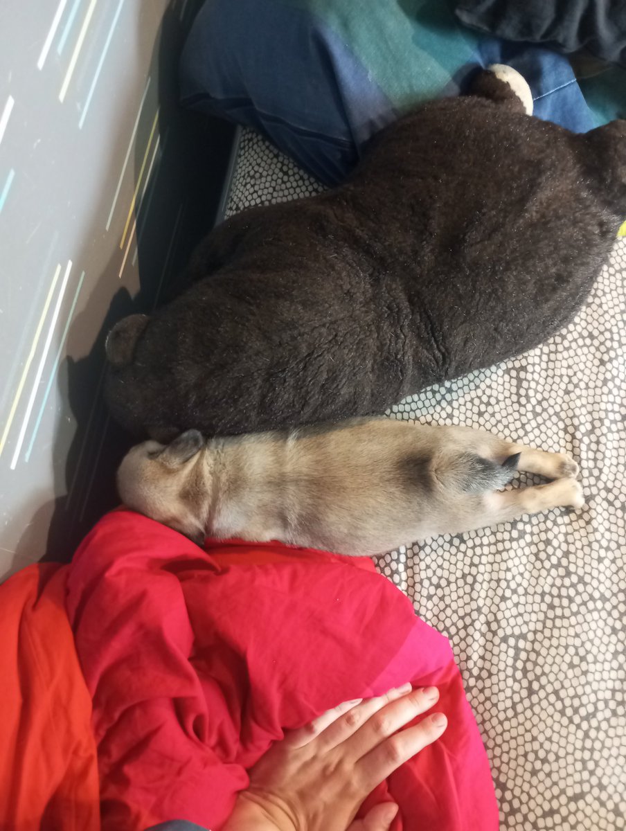 Мы подстригли коготки во сне, ребенку очень понравилось на кровати в одеялах)