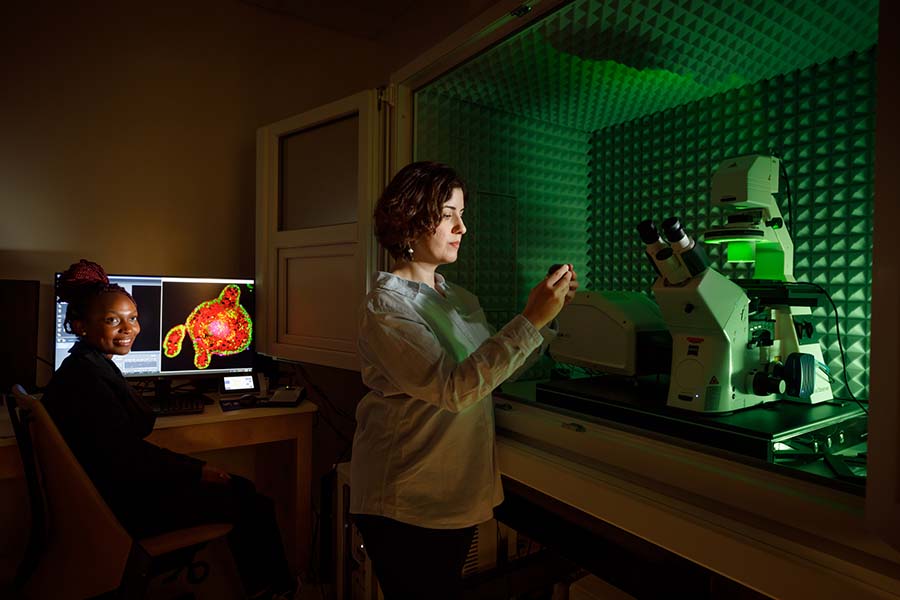 BuffettCancer's tweet image. Saturday was #ResearchAppreciationDay, and we're still celebrating! 🙌 From lab bench to bedside, our researchers ask the hard questions to rewrite cancer's story. Thank you for your passionate dedication to discovery! #CancerResearch #ResearchSavesLives
unmc.edu/cancercenter/r…