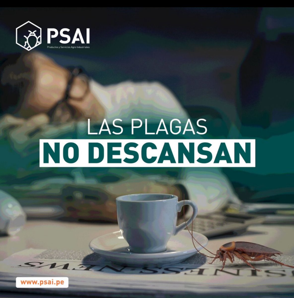 Psaipe's tweet photo. comercial@psai.pe https://t.co/dYbCYvDkhB