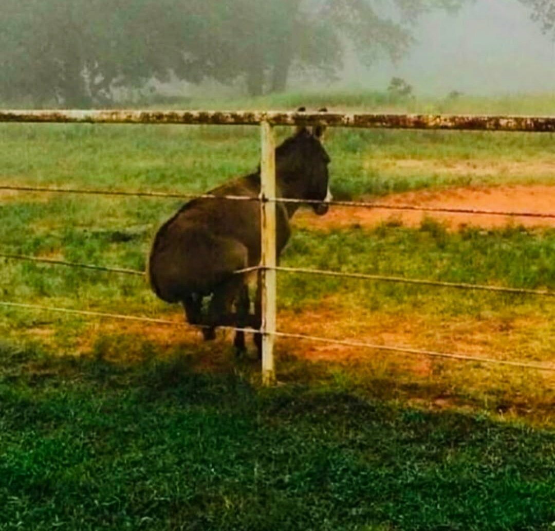 Ας ξεκουραστώ λιγάκι,με έφαγε το λιοπυρι τη γαϊδάρα