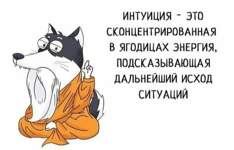 Пьяный Твиттер (@drunktwi) on Twitter photo 