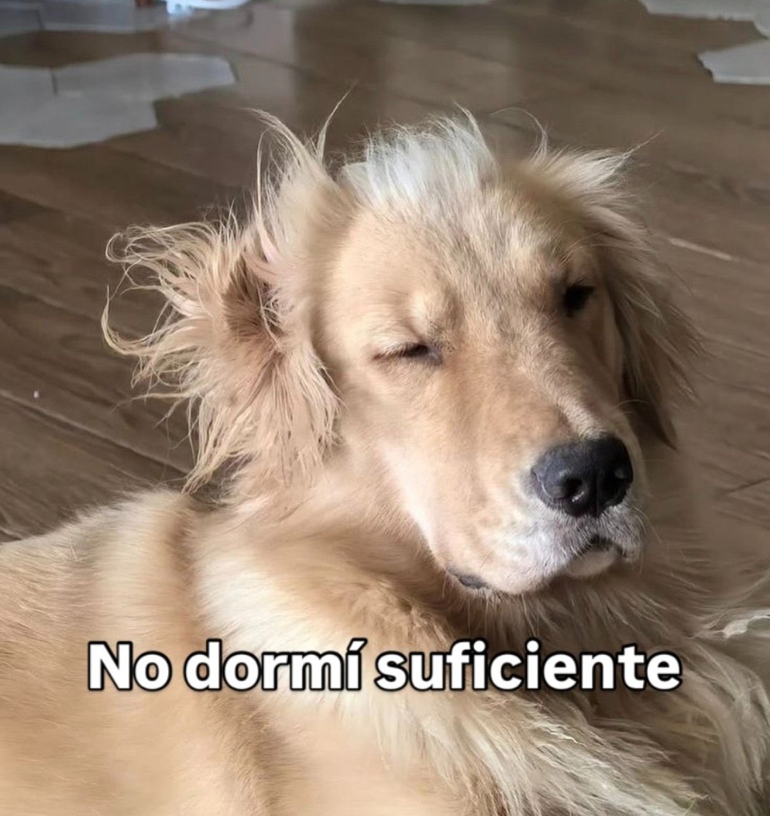 Cómo que ya es lunes rutinario 🫠
