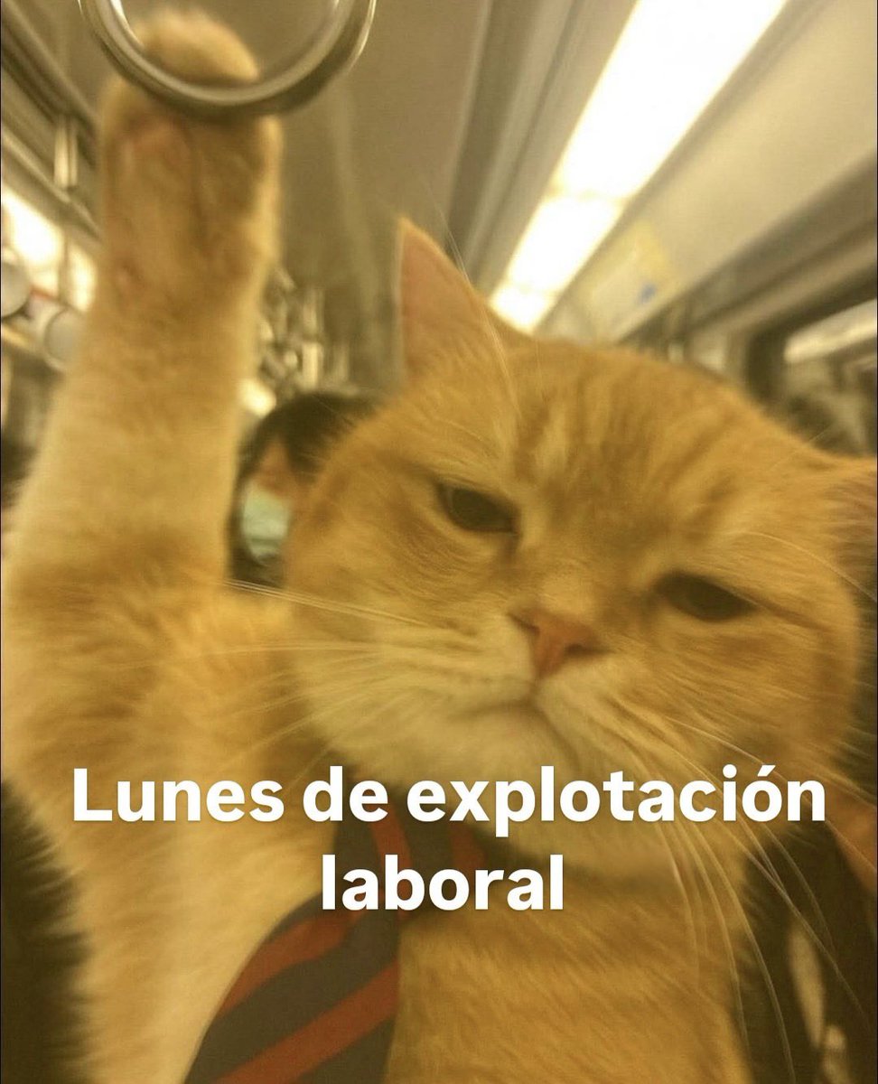 SalvadorMerin20's tweet photo. https://t.co/epVB2R6QuE