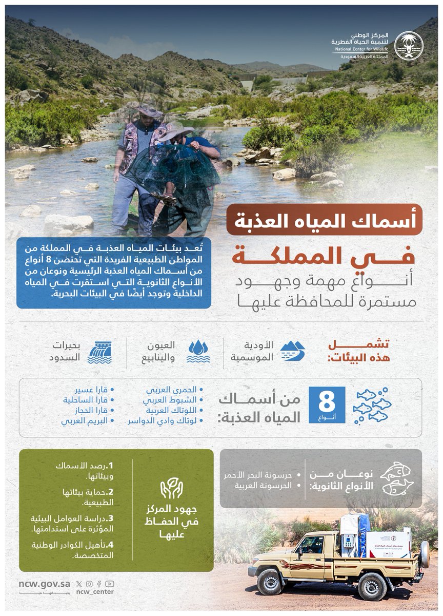 تنوع أسماك المياه العذبة يُجسّد غنى البيئات الطبيعية في المملكة، يواصل المركز جهوده للحفاظ عليها وصون موائلها.

#بحياتها_نحيا