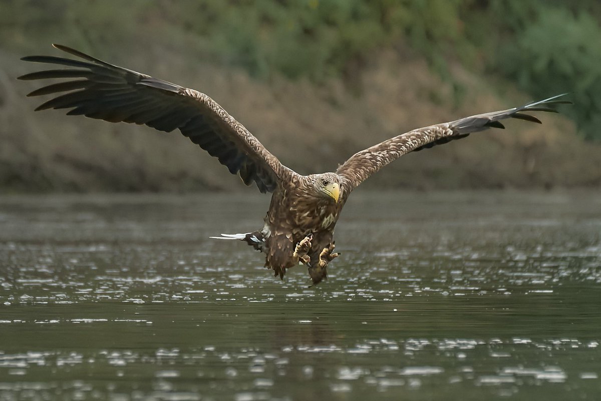 Is your favourite birding area not described yet on Birdingplaces.com? Add it yourself! It's easy and rewarding and many birders will be grateful to you. A template following some easy steps guides you through the process. Just click on 'Add a birdingplace' to start.