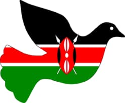 Peace be Upon us all... #SabaSabaRevolutionDay #Kenyanihome