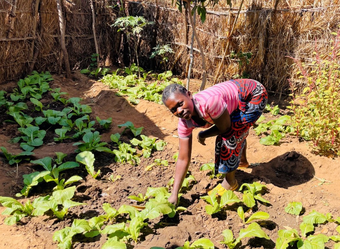 Freedom From Fistula (@wefixfistulas) on Twitter photo At just 25, Silona is transforming her life after receiving fistula treatment at our Malawi centre. Supported by our income generation project with <a href="/UNFPAMalawi/">UNFPA Malawi</a> & the Embassy of Iceland in Lilongwe, she’s now running a successful tailoring business & growing a home garden #malawi At just 25, Silona is transforming her life after receiving fistula treatment at our Malawi centre. Supported by our income generation project with <a href="/UNFPAMalawi/">UNFPA Malawi</a> & the Embassy of Iceland in Lilongwe, she’s now running a successful tailoring business & growing a home garden #malawi