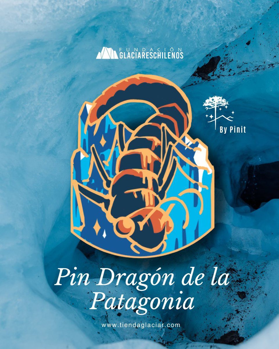 ¡No te quedes sin tu pin del Dragón de la Patagonia! 🐜❄️ 
Desarrollado en colaboración con Pinit 🧊Encuéntralo en nuestra Tienda Glaciar y lleva contigo un pedacito de la Patagonia 💙

#GlaciaresChilenos #DragónDeLaPatagonia  

tiendaglaciar.com/pinit/1-pin-dr…
