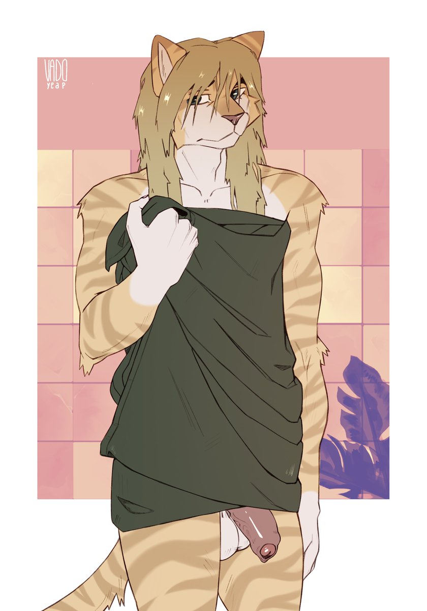 Wet Cat🤫
