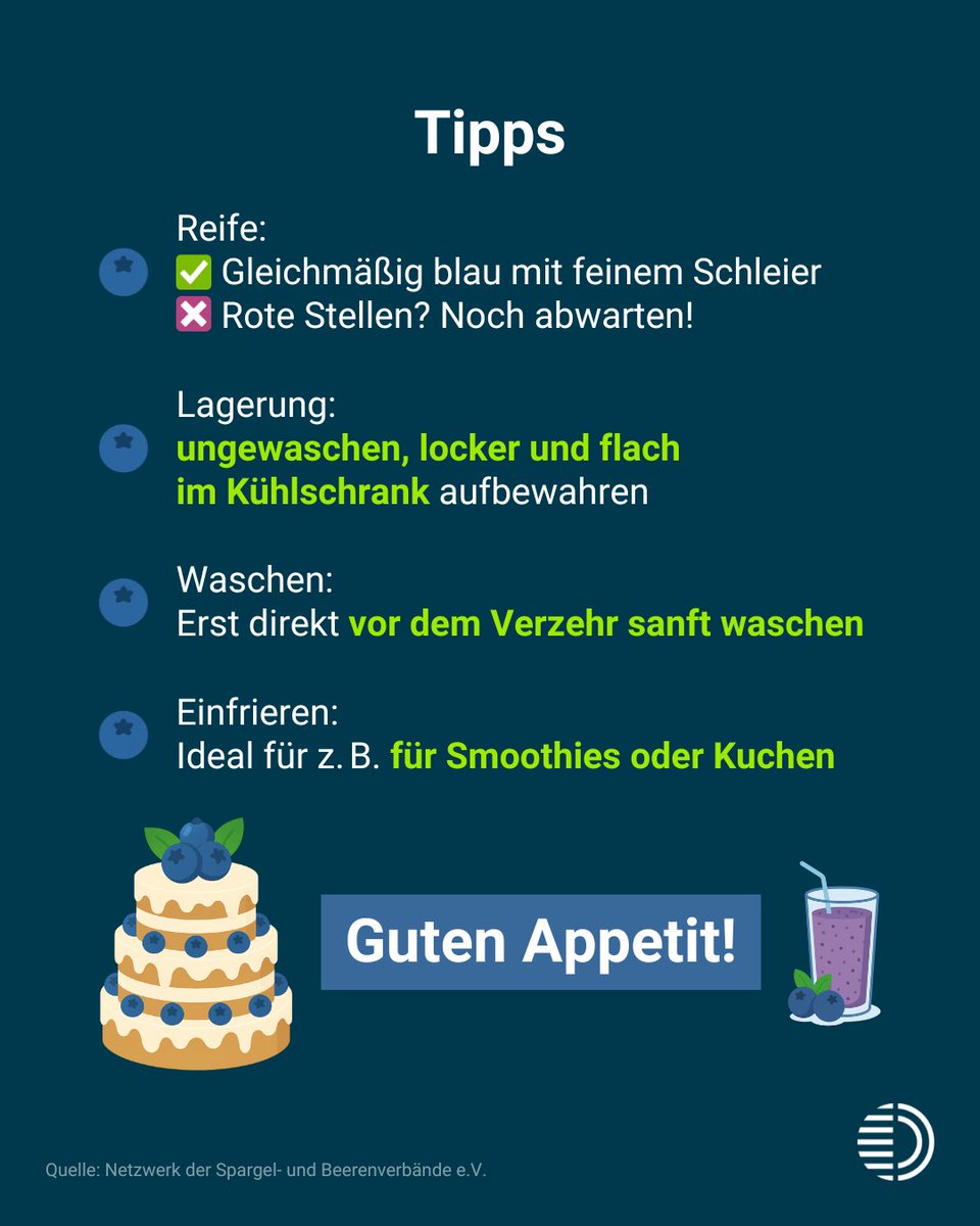 🫐 7. Juli, Tag der Heidelbeere: Heute dreht sich alles um die kleine Beere mit großem Potenzial.

Heidelbeere, Blaubeere, Schwarzbeere, Zeckbeere… kaum eine Frucht hat so viele Spitznamen. Kein Wunder, dass ihr sogar ein eigener Tag gewidmet ist: Heute steht sie im Mittelpunkt!