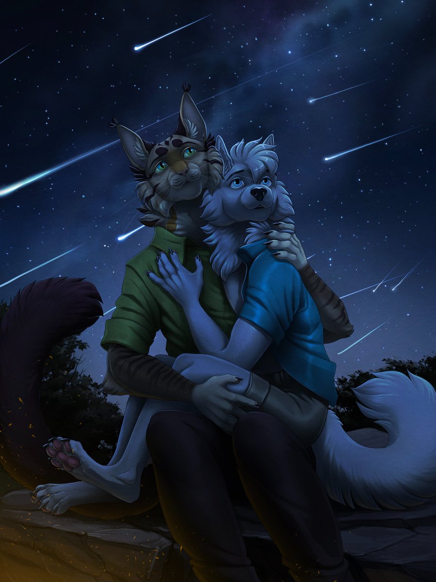 ariadogdraws's tweet image. The night of falling stars 🌌
YCH for tenebrae