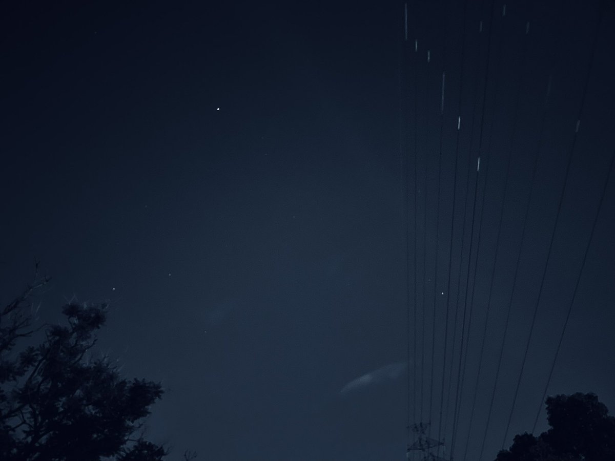 7月7日
今日は七夕なので星を探してきました