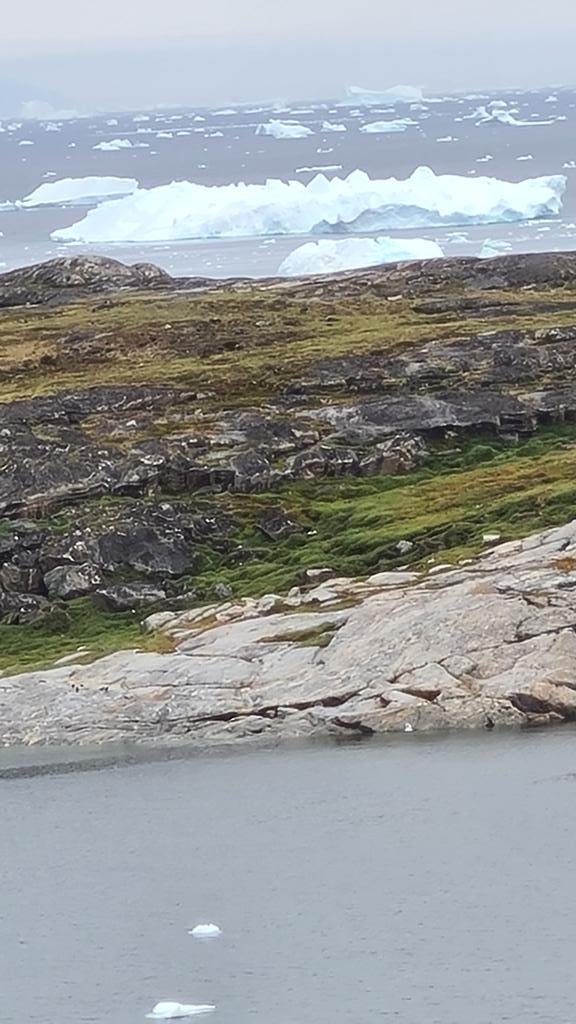 Sää on paranemaan päin. Eli eiliseen kuvaan verrattuna. Ehkä tänään pääsemme ainakin osittain jo kotia kohti.